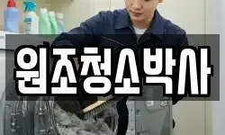 원조청소박사