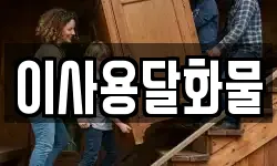 이사용달화물