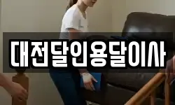 대전달인용달이사