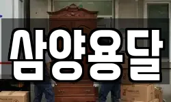 삼양용달