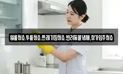 원룸청소.투룸청소.쓰레기집청소.반려동물냄새,상가입주청소