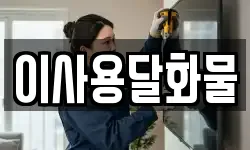 대전 동구 신상동 이사,용달이사,포장이사,원룸이사,보관이사