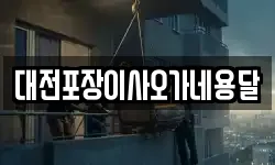 대전포장이사오가네용달