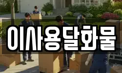이사용달화물