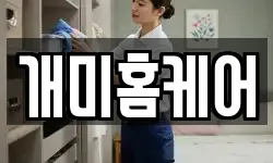 대전 동구 신흥동 청소,입주청소,사무실청소,에어컨청소