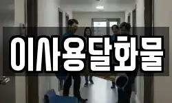 이사용달화물