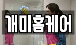 개미홈케어