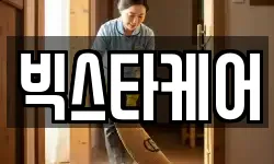 빅스타케어