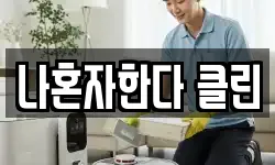 나혼자한다 클린