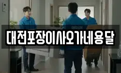 대전포장이사오가네용달
