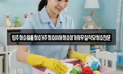 입주청소원룸청소거주청소이사청소상가사무실식당청소전문