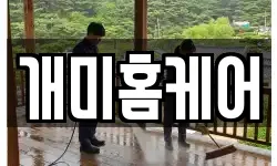 개미홈케어