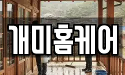 개미홈케어