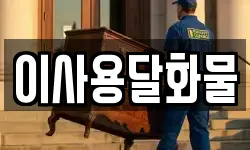 이사용달화물