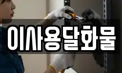 이사용달화물