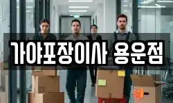 가야포장이사 용운점