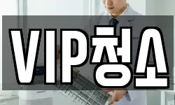 VIP청소