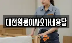 대전원룸이사오가네용달