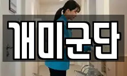 개미군단