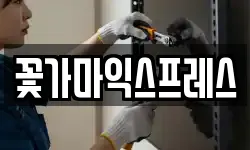 꽃가마익스프레스