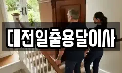 대전일출용달이사