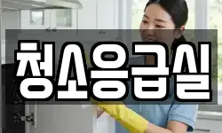 청소응급실