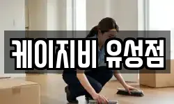 대전 서구 갈마동 이사,용달이사,포장이사,원룸이사,보관이사