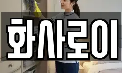 화사로이