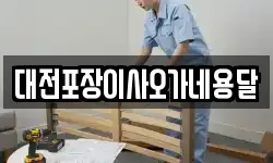 대전포장이사오가네용달