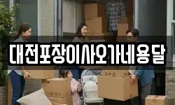 대전포장이사오가네용달