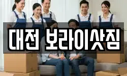 대전 보라이삿짐