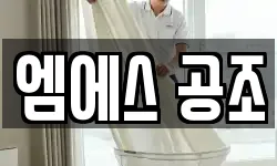 엠에스 공조
