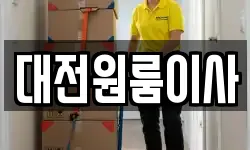 대전원룸이사