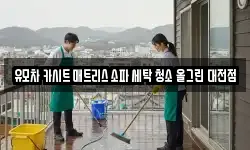 유모차 카시트 매트리스 소파 세탁 청소 올그린 대전점