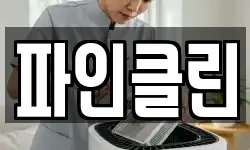 파인클린