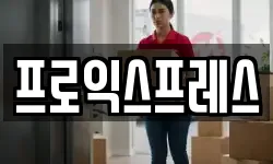 프로익스프레스
