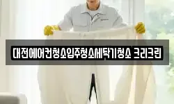대전에어컨청소입주청소세탁기청소 크리크린