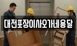 대전포장이사오가네용달