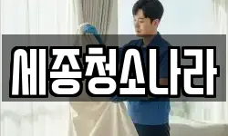 세종청소나라