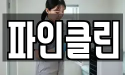 파인클린