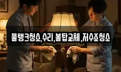 대전 서구 봉곡동 청소,입주청소,사무실청소,에어컨청소