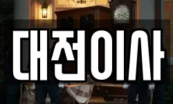 대전 서구 오동 이사,용달이사,포장이사,원룸이사,보관이사