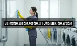 오피스텔청소.원룸청소.투룸청소.다가구청소.아파트청소.당일청소