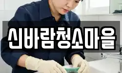 신바람청소마을