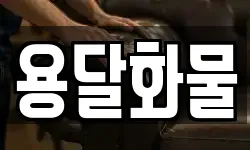 용달화물