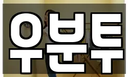 우분투