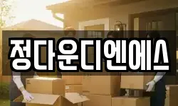 정다운디엔에스