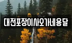 대전포장이사오가네용달