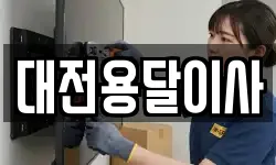 대전용달이사