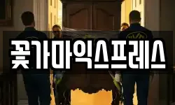 꽃가마익스프레스